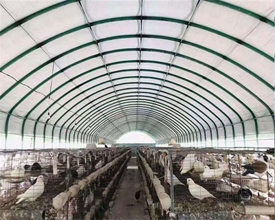 天津泰福包塑管養(yǎng)殖大棚的法律風(fēng)險與合規(guī)建議