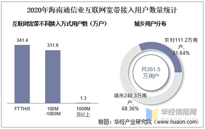 2020年海南通信業(yè)發(fā)展報告 用戶規(guī)模、業(yè)務(wù)增長與資產(chǎn)配置分析