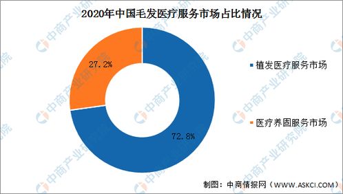 2022年中國醫(yī)療養(yǎng)固服務(wù)市場現(xiàn)狀及發(fā)展趨勢預(yù)測分析
